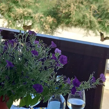 Apartament Girosa House